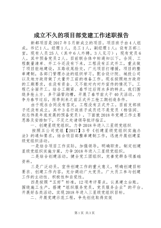成立不久的项目部党建工作述职报告