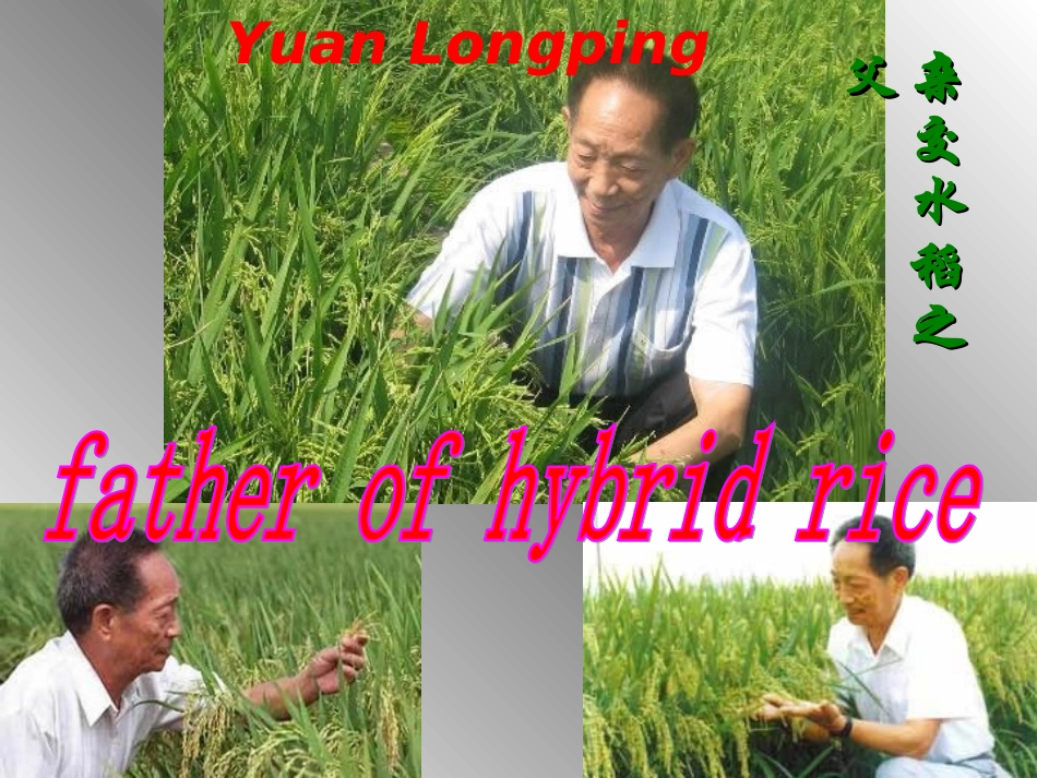 外研版必修4模块4GreatScientistsreading课件_第3页