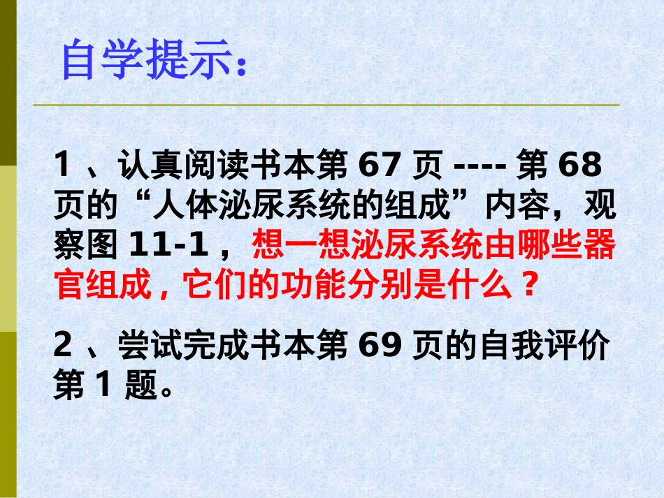 生物：第11章第1节人体泌尿系统的组成课件（苏教版七年级下）_第3页