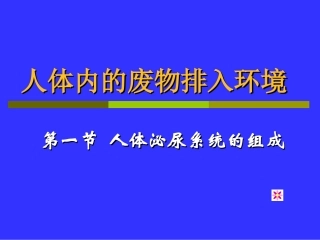 生物：第11章第1节人体泌尿系统的组成课件（苏教版七年级下）