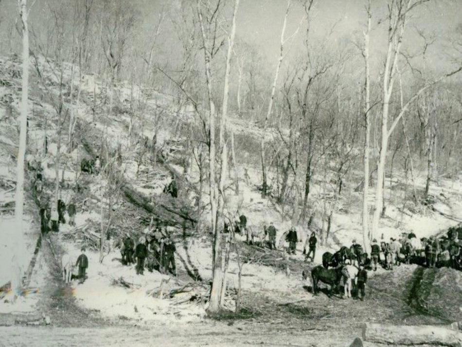 我的北大荒的秋天_第2页