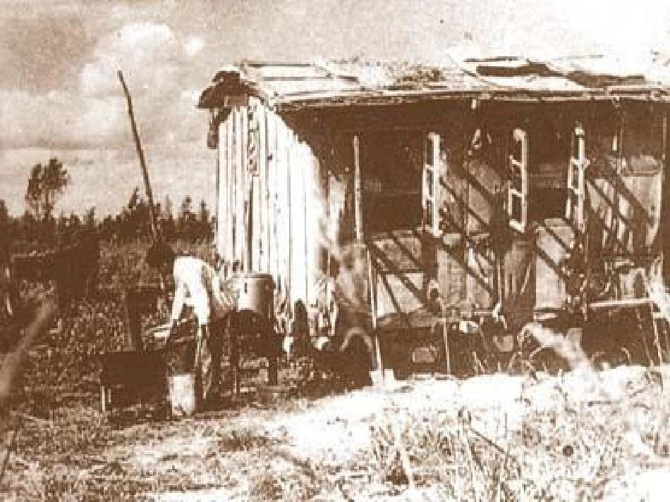 我的北大荒的秋天_第3页