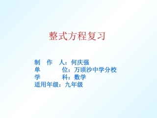整式方程复习