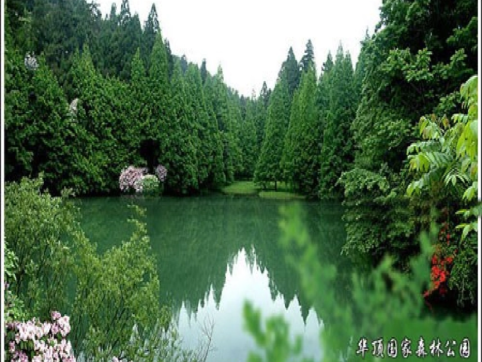 去打开大自然绿色的课本 (3)_第1页