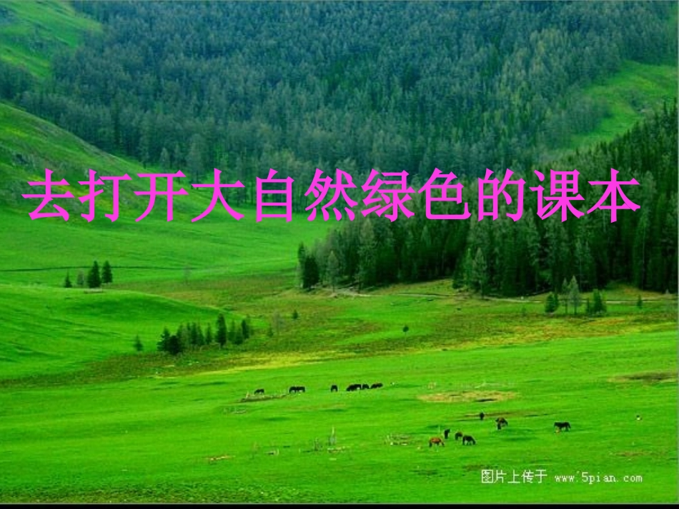 去打开大自然绿色的课本 (3)_第2页