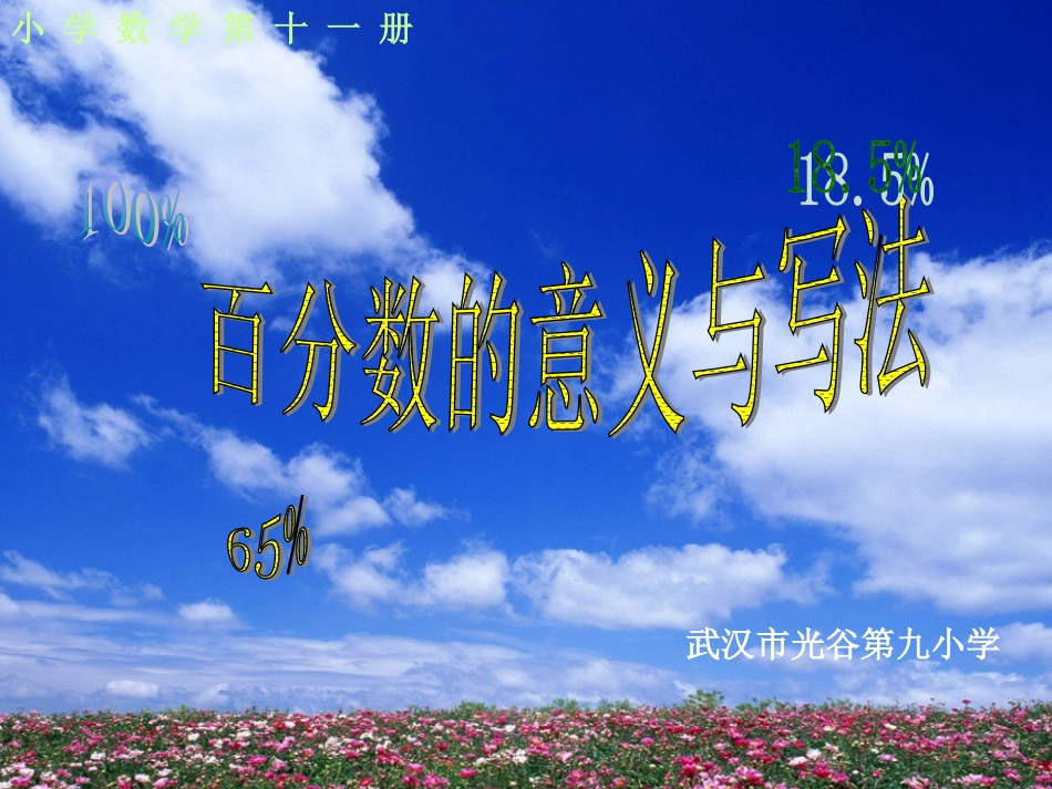 百分数的意义的写法_第1页