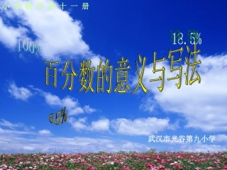 百分数的意义的写法