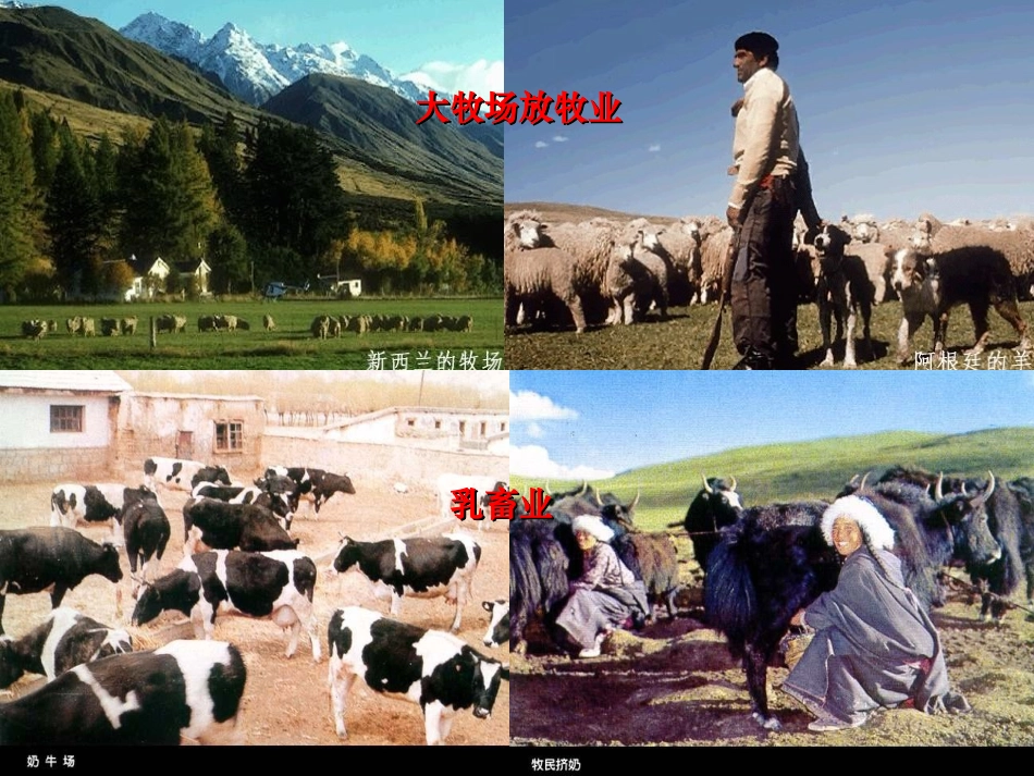 以畜牧业为主的农业地域类型(上课用)[1]_第2页