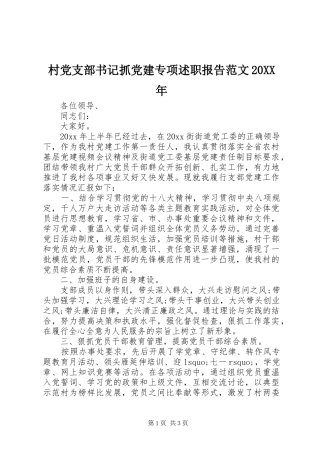 村党支部书记抓党建专项述职报告范文20XX年