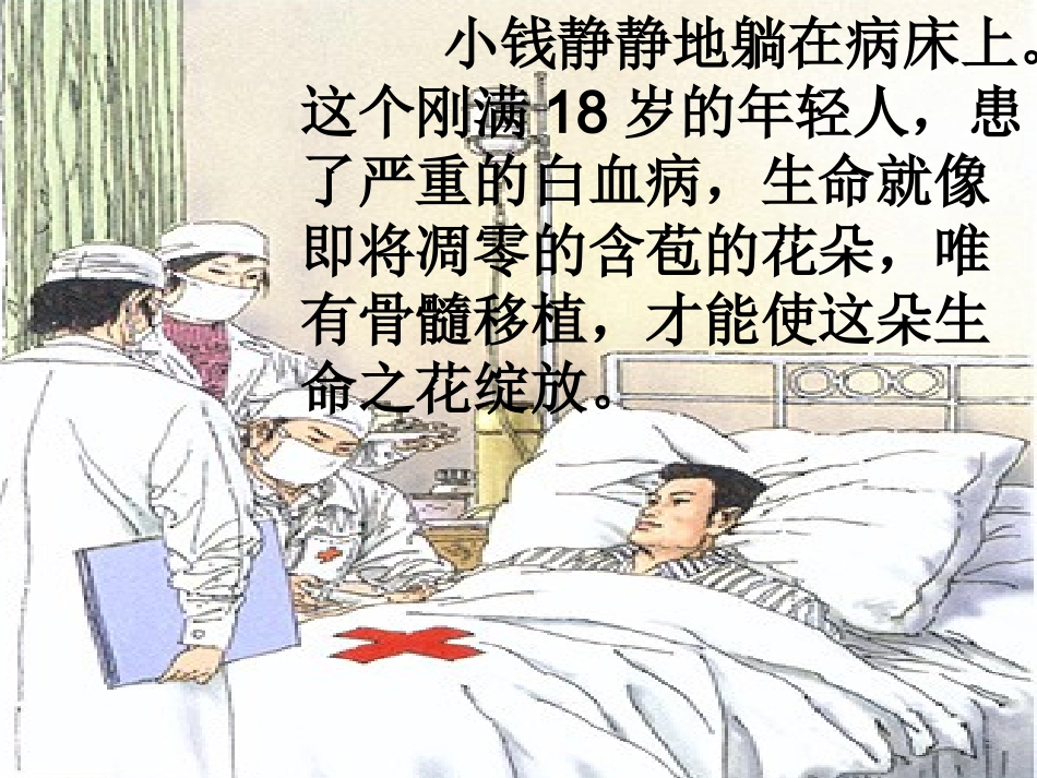 小学语文课件-跨越海峡的生命桥_第3页