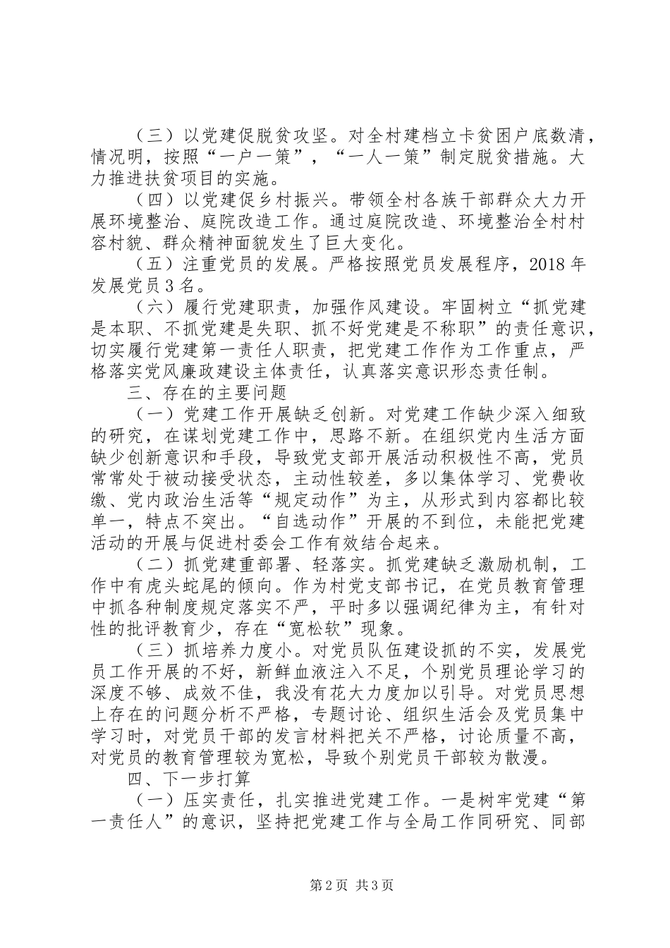 村党支部书记个人抓基层党建工作情况述职报告_第2页