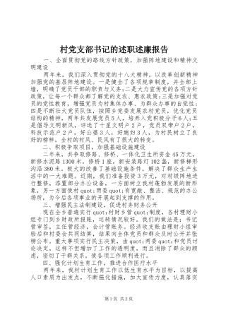 村党支部书记的述职述廉报告