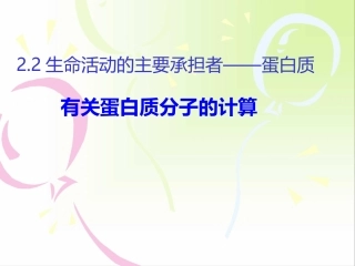 有关蛋白质分子的计算