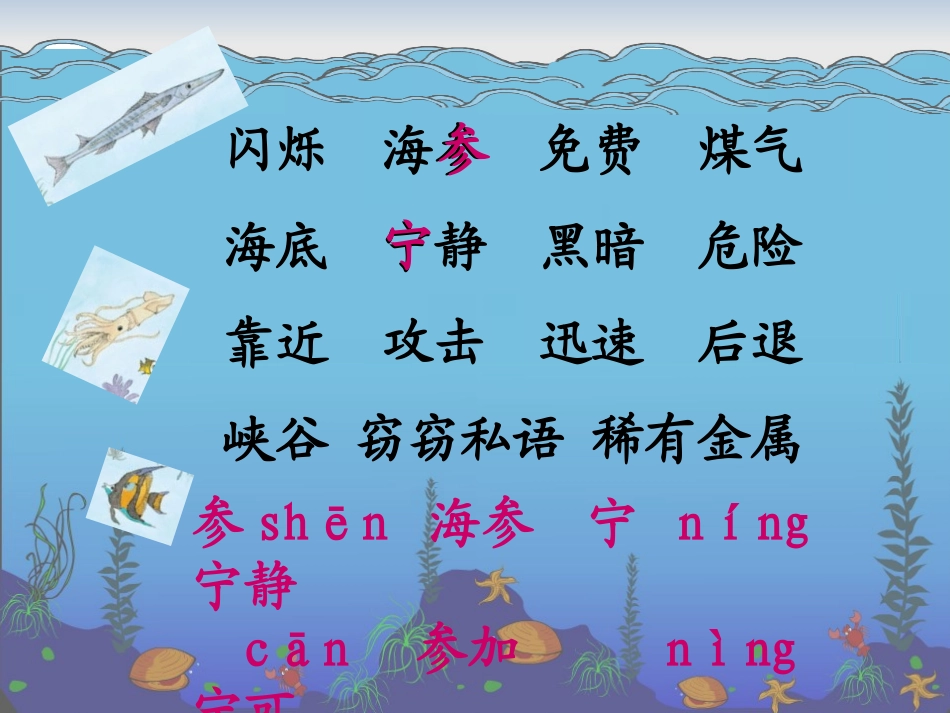 下海底世界课件_第3页