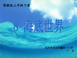 下海底世界课件
