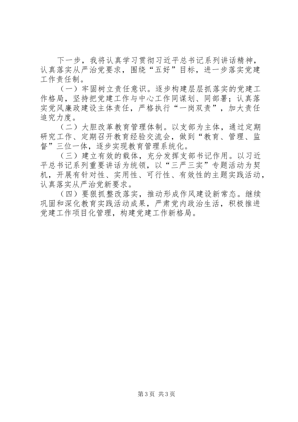 村党支部书记述职报告 (40)_第3页