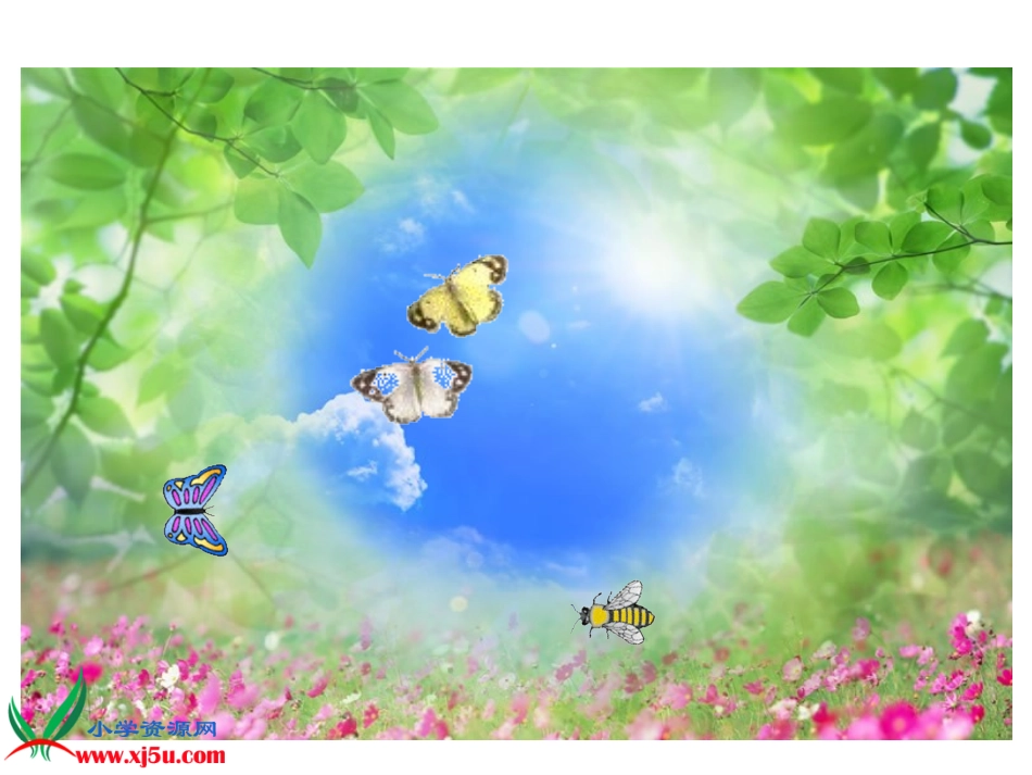 北师大版数学二年级上册《花园》课件_第3页
