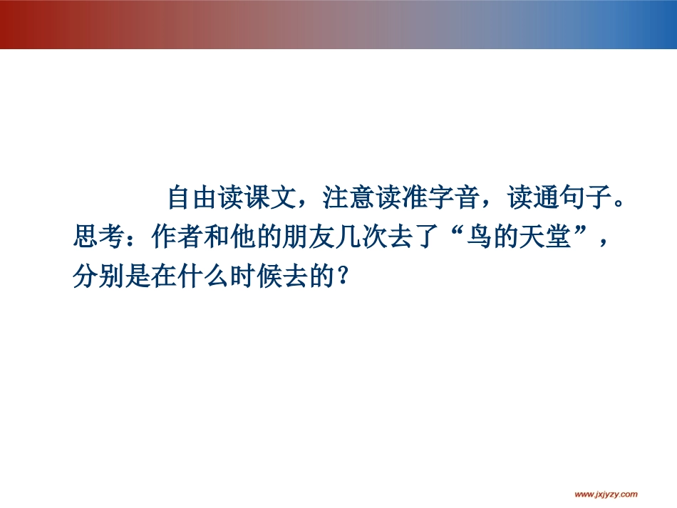 鸟的天堂（一）教学课件_第3页