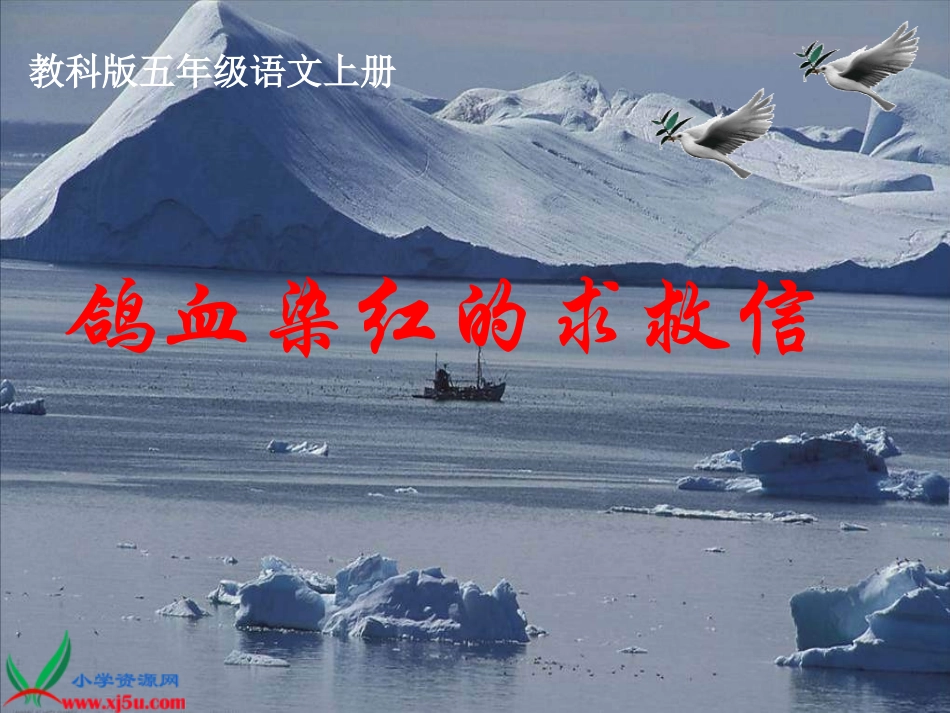 教科版五年级上册《鸽血染红的求救信》_第1页