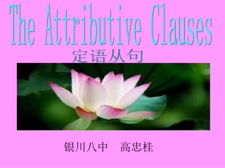 英语语法定语从句的优质课件