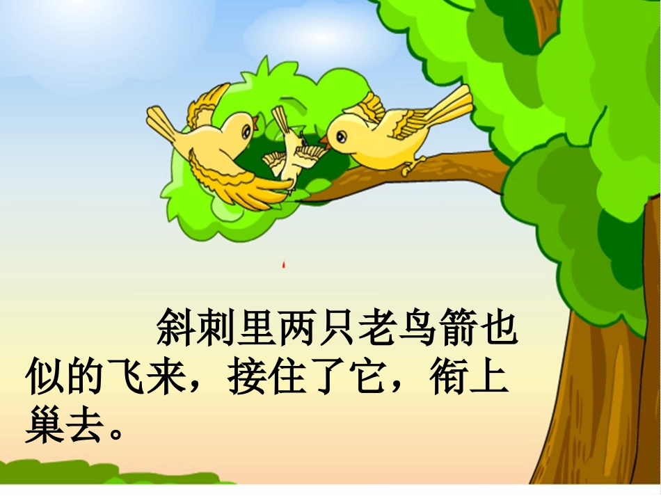 一只小鸟课件(1013)_第3页