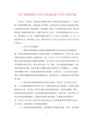 关于市旅游局上半年工作总结及下半年工作计划