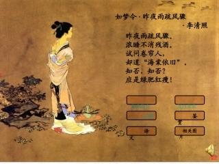 如梦令zmj-3363-10089