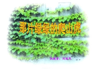 人教新课标版小学四上《那片绿绿的爬山虎》课件