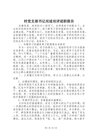 村党支部书记双述双评述职报告