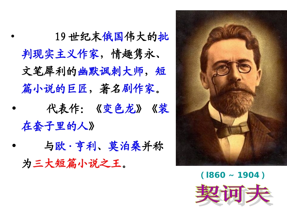 《装在套子里的人》_第2页