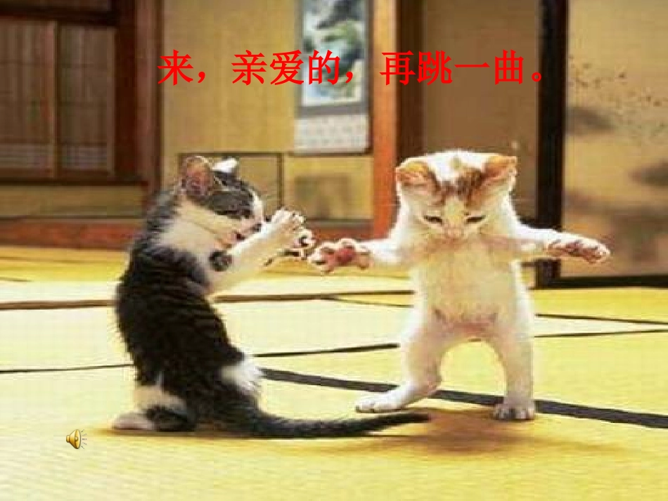 《猫》第一课时教学课件_第1页