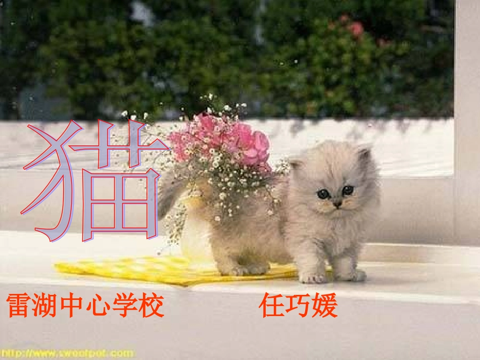 《猫》第一课时教学课件_第2页