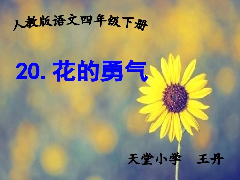 天小王丹《花的勇气》1_第2页