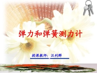 弹力和弹簧测力计