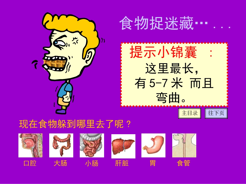 食物消化课件[1]_第3页