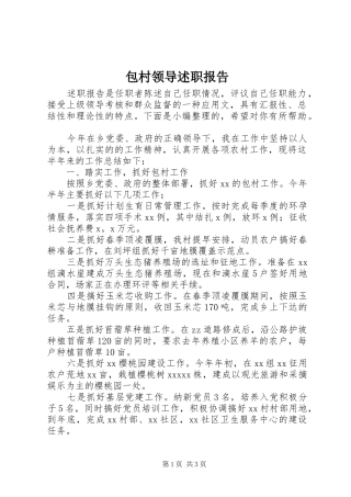包村领导述职报告