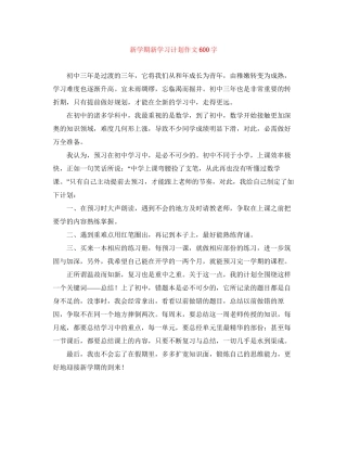 新学期新学习计划作文600字