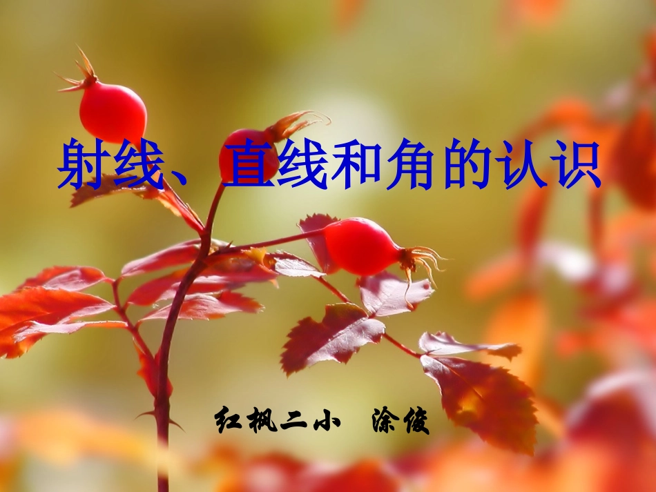 苏教版四年级上册射线_直线_角的认识PPT_第1页