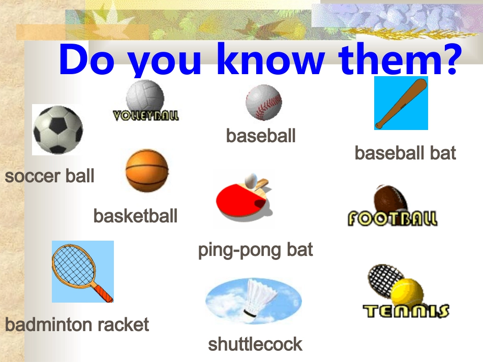 新目标七年级上unit5_Do_you_have_a_soccer_ball？_第3页
