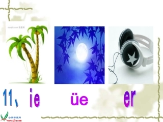 ie_ue_er课件