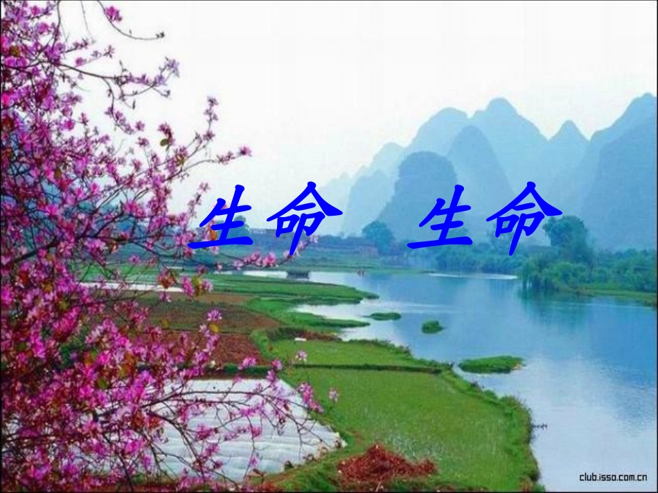 四年级下册《《生命生命》课件_第1页