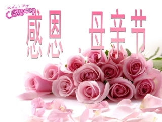 《感恩母亲节》主题班会