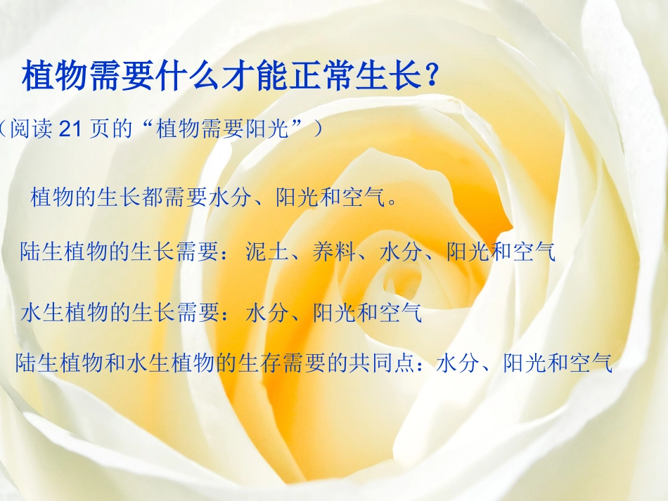 小学三年级7植物有哪些相同特点_第3页