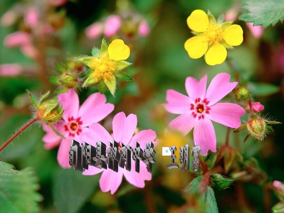 同底数幂的乘法上课课件_第1页