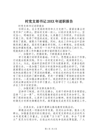 村党支部书记20XX年述职报告