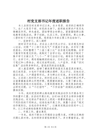 村党支部书记年度述职报告