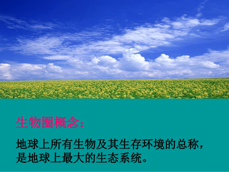 生物生存的家园(1)_第3页