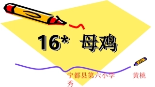 母鸡教学开放周课件