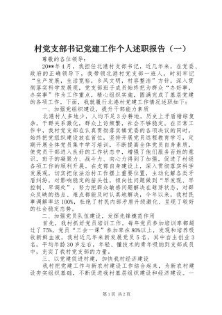 村党支部书记党建工作个人述职报告（一）