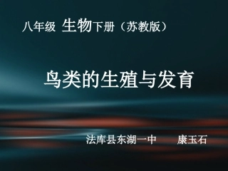 第五节《鸟类的生殖与发育》PPT课件康玉石